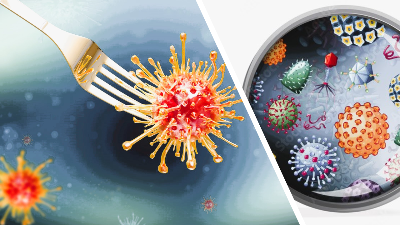Virología alimentaria: contaminación y detección de virus en alimentos