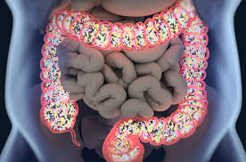 DESEQUILIBRIO DE LA MICROBIOTA INTESTINAL: SALUD O ENFERMEDAD.